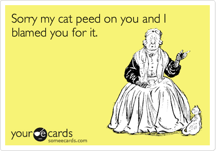 Sorry my cat peed on you and I blamed you for it.