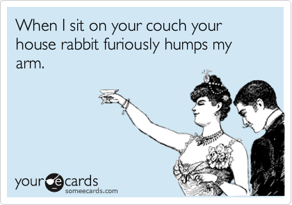 When I sit on your couch your house rabbit furiously humps my arm.