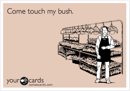 Come touch my bush.