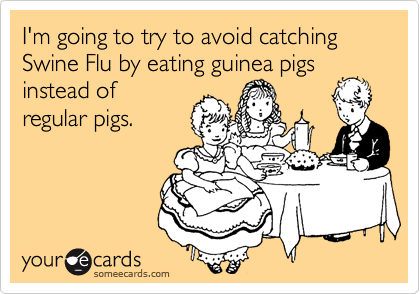 I'm going to try to avoid catching Swine Flu by eating guinea pigs
instead of
regular pigs.