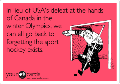 In lieu of USA's defeat at the hands of Canada in the
winter Olympics, we
can all go back to
forgetting the sport
hockey exists.