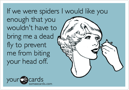 If we were spiders I would like you enough that you
wouldn't have to
bring me a dead
fly to prevent
me from biting
your head off.