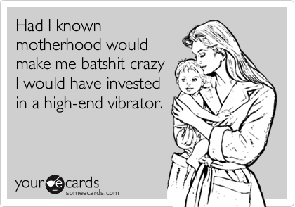 Had I known
motherhood would
make me batshit crazy
I would have invested
in a high-end vibrator.