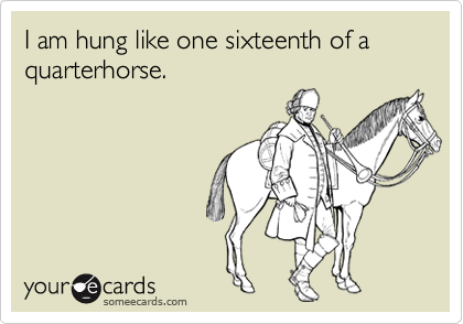 I am hung like one sixteenth of a quarterhorse.