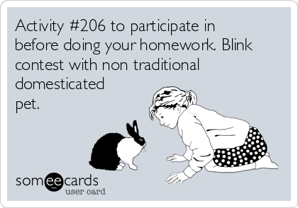 Activity #206 to participate in
before doing your homework. Blink
contest with non traditional
domesticated
pet. 