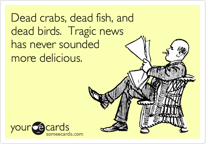 Dead crabs, dead, fish, and 
dead birds.  Tragic news
has never sounded 
more delicious.