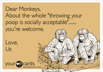 Dear Monkeys,
About the whole "throwing your poop is socially acceptable"........
you're welcome.

Love,
Us