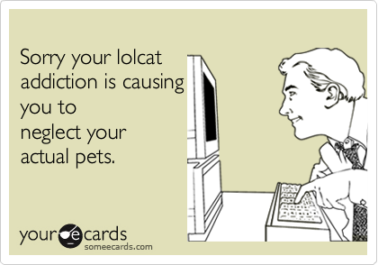 
Sorry your lolcat 
addiction is causing 
you to 
neglect your
actual pets.