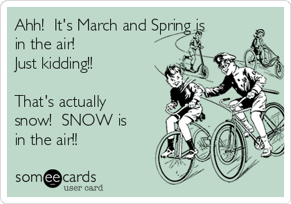 Ahh!  It's March and Spring is
in the air! 
Just kidding!! 

That's actually
snow!  SNOW is
in the air!!