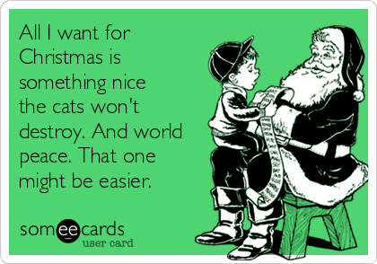All I want for
Christmas is
something nice
the cats won't
destroy. And world
peace. That one
might be easier.