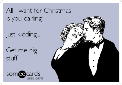 All I want for Christmas
is you darling!

Just kidding...

Get me pig
stuff!