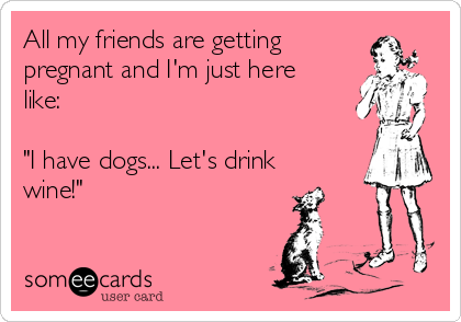 All my friends are getting
pregnant and I'm just here
like:

"I have dogs... Let's drink
wine!"