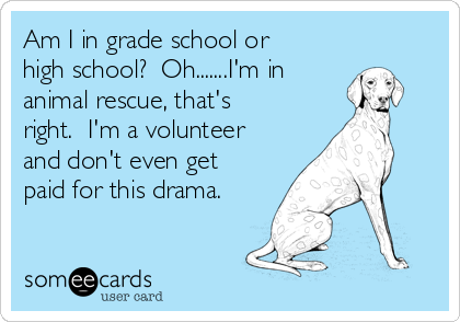 Am I in grade school or high school? Oh.......I'm in animal rescue, that's  right. I'm a volunteer and don't even get paid for this drama. | Pets Ecard