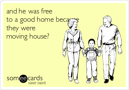 and he was free
to a good home because
they were
moving house?