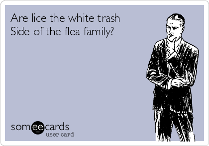 Are lice the white trash
Side of the flea family?