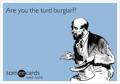 Are you the turd burglar?? 