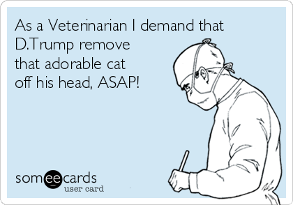 As a Veterinarian I demand that
D.Trump remove
that adorable cat
off his head, ASAP!