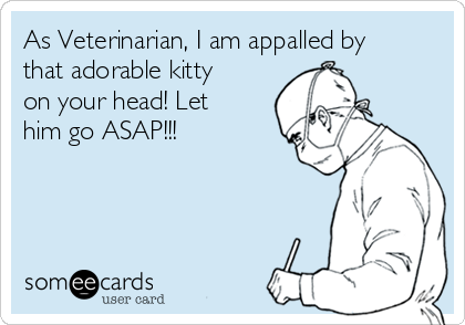 As Veterinarian, I am appalled by
that adorable kitty
on your head! Let
him go ASAP!!!