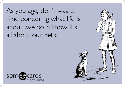 As you age, don't waste
time pondering what life is
about...we both know it's
all about our pets.