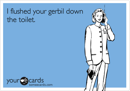 I flushed your gerbil down
the toilet.