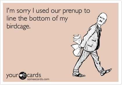 I'm sorry I used our prenup to
line the bottom of my
birdcage.