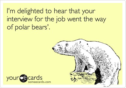 I'm delighted to hear that your interview for the job went the way of polar bears'.
