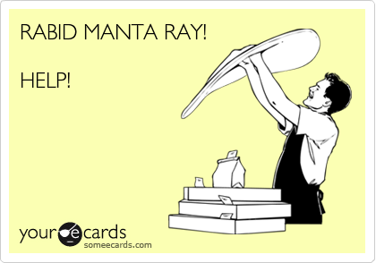 RABID MANTA RAY!

HELP!