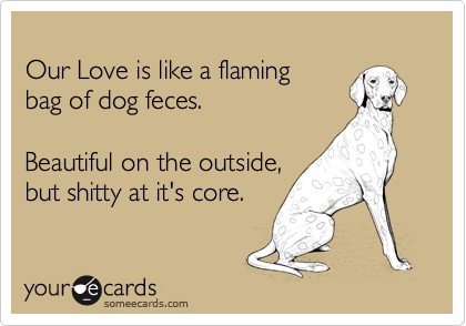 
Our Love is like a flaming
bag of dog feces.

Beautiful on the outside,
but shitty at it's core.