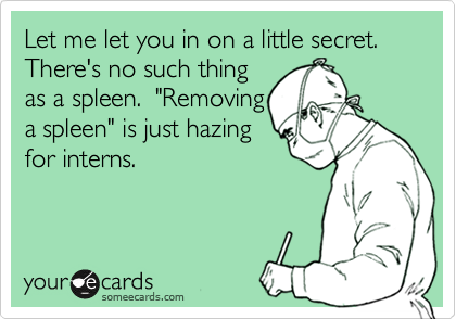 Let me let you in on a little secret. There's no such thing
as a spleen.  "Removing
a spleen" is just hazing
for interns.