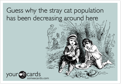 Guess why the stray cat population has been decreasing around here