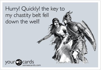 Hurry! Quickly! the key to
my chastity belt fell
down the well!