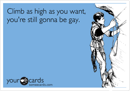 Climb as high as you want,
you're still gonna be gay.