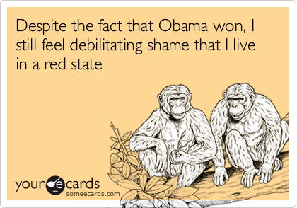 Despite the fact that Obama won, I still feel debilitating shame that I live in a red state
