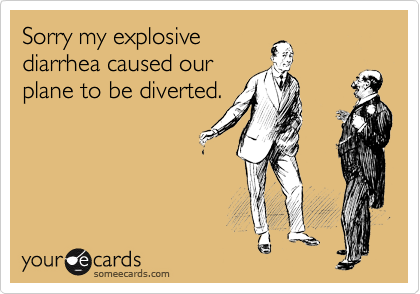 Sorry my explosive
diarrhea caused our
plane to be diverted.
