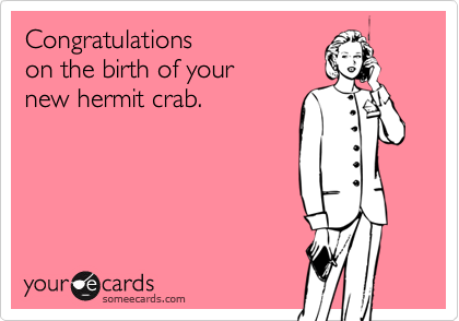 Congratulations
on the birth of your
new hermit crab.