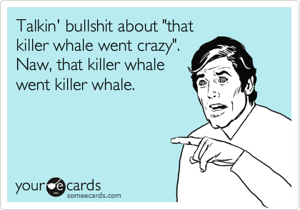 Talkin' bullshit about "that
killer whale went crazy".
Naw, that killer whale
went killer whale.