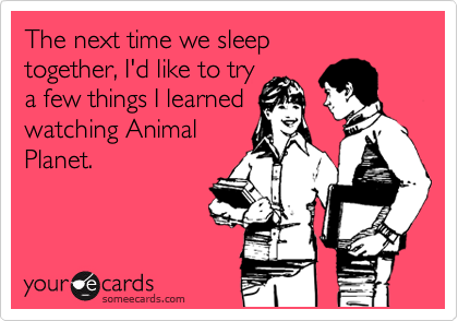 The next time we sleep
together, I'd like to try
a few things I learned
watching Animal
Planet.