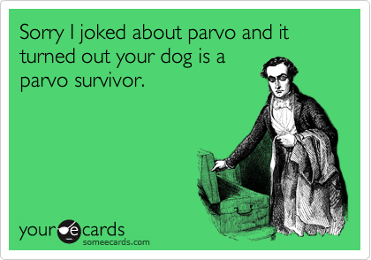 Sorry I joked about parvo and it turned out your dog is a
parvo survivor.