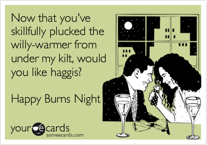 Now that you've
skillfully plucked the
willy-warmer from
under my kilt, would
you like haggis?

Happy Burns Night