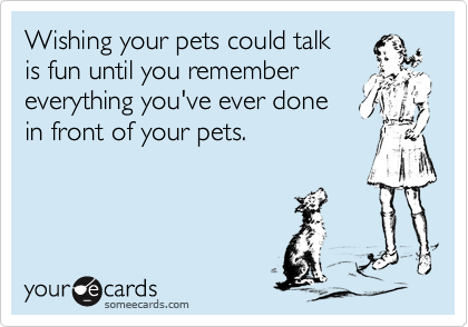 Wishing your pets could talk
is fun until you remember everything you've ever done
in front of your pets.