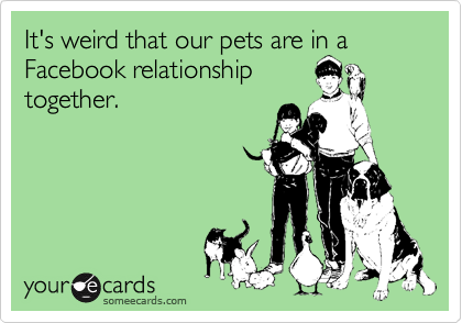 It's weird that our pets are in a Facebook relationship
together.