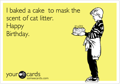 I baked a cake  to mask the
scent of cat litter.  
Happy
Birthday.