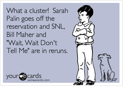 What a cluster!  Sarah
Palin goes off the
reservation and SNL,
Bill Maher and
"Wait, Wait Don't
Tell Me" are in reruns. 