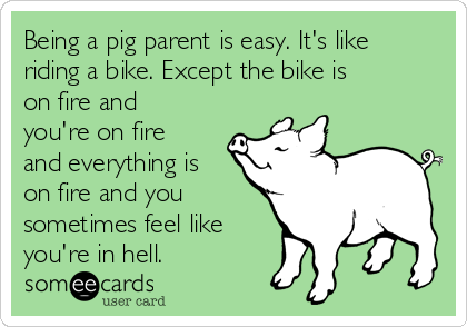 Being a pig parent is easy. It's like
riding a bike. Except the bike is
on fire and
you're on fire
and everything is
on fire and you
sometimes feel like
you're in hell. 