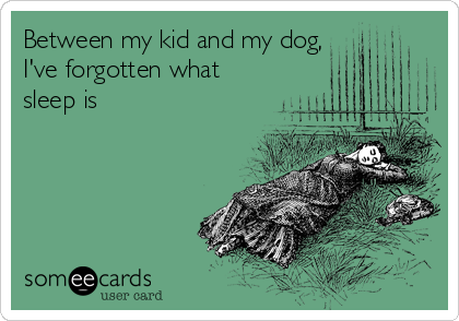 Between my kid and my dog,
I've forgotten what
sleep is