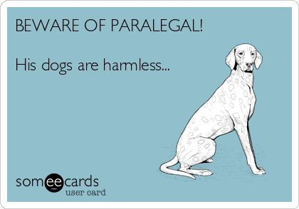 BEWARE OF PARALEGAL!

His dogs are harmless...