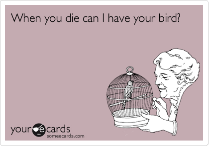 When you die can I have your bird?
