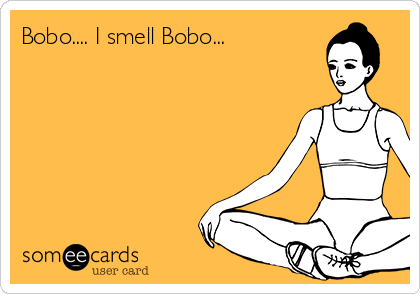 Bobo.... I smell Bobo... 
