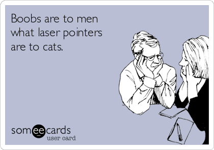 Boobs are to men
what laser pointers
are to cats.