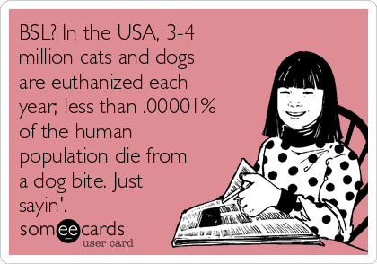 BSL? In the USA, 3-4
million cats and dogs
are euthanized each
year; less than .00001%
of the human
population die from
a dog bite. Just
sayin'.